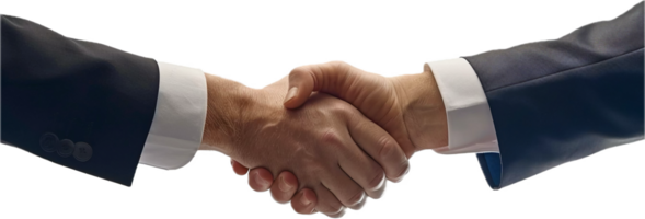 Business Handshake Between Two Professionals. png