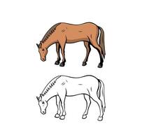 Horse Character Design Illustration vector