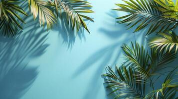 Sunlit Tropical Palm Leaves with Shadow Play photo