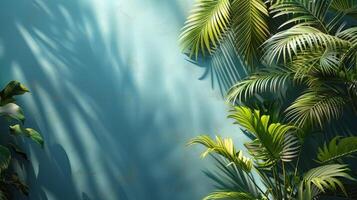 Sunlit Tropical Palm Leaves with Shadow Play photo