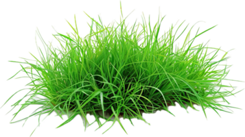 üppig Grün Gras Klingen. png