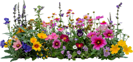 Colorful Spring Flower Bed with Lilies. png