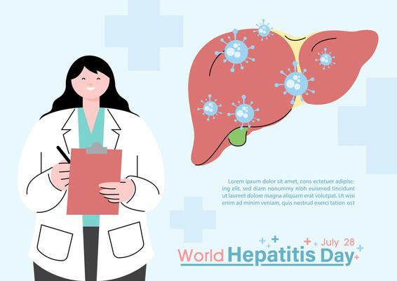 Doctor in cartoon character holding a clip board with virus on a human liver, wording of hepatitis day and example texts on blue background. World hepatitis day's poster campaign in flat style