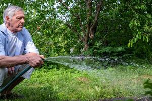 un maduro hombre con gris pelo diligentemente aguas el jardín, el mangueras rociar creando un multa niebla en contra el fondo de lozano árboles, significando el diario rutina de jardinería cuidado foto