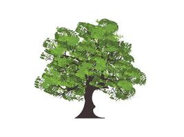 Tree with abstract green leaves illustration vector