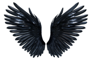 Black Feathered Angel Wings. png