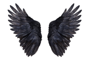 Black Feathered Angel Wings. png