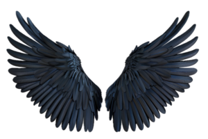 Black Feathered Angel Wings. png