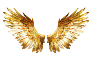 d'or à plumes ange ailes. png