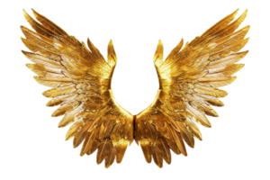 d'or à plumes ange ailes. png