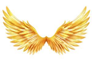 d'or à plumes ange ailes. png