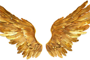 Golden Feathered Angel Wings. png