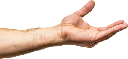 Outstretched Hand Palm Facing Up. png