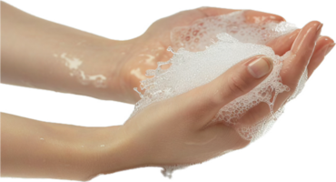 Hands Lathered with Soap and Bubbles. png