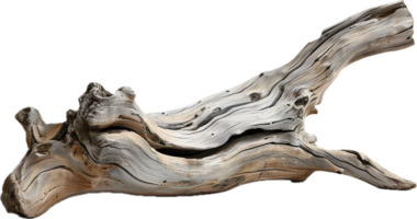 Weathered Driftwood Log. png