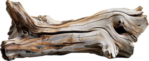 Esposto alle intemperie Driftwood tronco d'albero. png