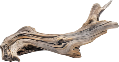Weathered Driftwood Log. png