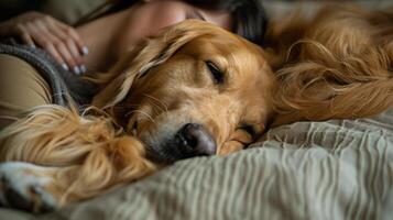 Woman Hugging Dog With Eyes Closed photo