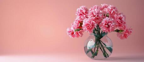 Vase Filled With Pink Carnations on Pink Background photo