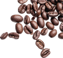 Scattered Roasted Coffee Beans. png