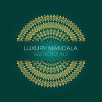 creative luxury mandala design background vector