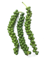 vers groen peperkorrels, transparant achtergrond png