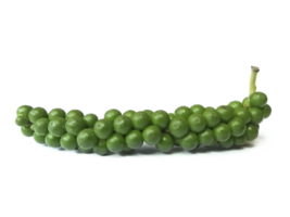 Frais vert poivres, transparent Contexte png