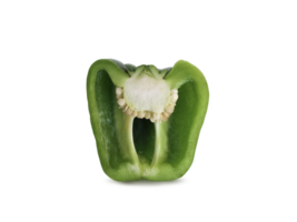 groen klok peper, transparant achtergrond png