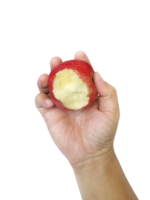 hand holding red apple, transparent background png