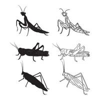 grasshopper icon design vector