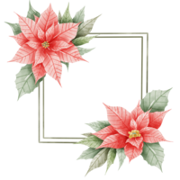 acquerello mano disegnato illustrazione Natale composizioni con poinsettia fiori telaio per vacanza invito, carta design clipart Stampa nuovo anno arredamento per Stampa, etichetta, invito design png