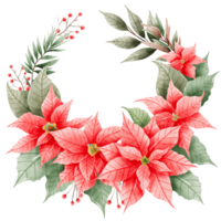 Watercolor Hand drawn illustration Christmas compositions with poinsettia flowers wreath for holiday invitation, card design clipart print new year decor for print, label, invitation design png