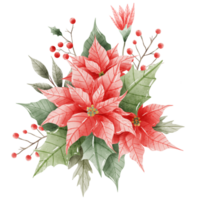 Watercolor Hand drawn illustration Christmas compositions with poinsettia flowers bouquet for holiday invitation, card design clipart print new year decor for print, label, invitation design png