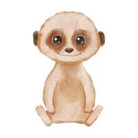 Cute baby watercolor Meerkat isolated on white background . Animal character sitting vector