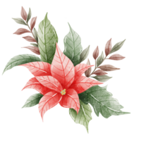 acquerello mano disegnato illustrazione Natale composizioni con poinsettia fiori mazzo per vacanza invito, carta design clipart Stampa nuovo anno arredamento per Stampa, etichetta, invito design png