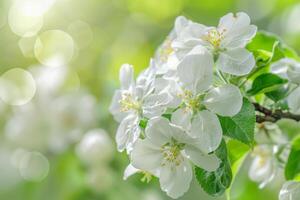 racimo de blanco flores con verde hojas foto