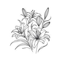 a drawing of lilies on a white background vector