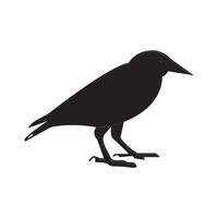 common starling icon vector