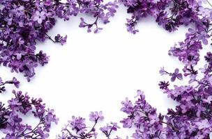 Bunch of Purple Flowers on White Background photo