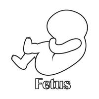 fetus icon design vector