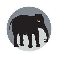 elephant icon design vector