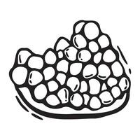 Juicy pomegranate fruit pulp with seeds. black and white hand drawn illustration in linocut style on isolated background. Drawing for design of food and drink packaging, menus, fabric, cards vector