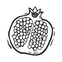 Half a pomegranate along with seeds. linear black and white hand drawn illustration in linocut style on isolated background. Drawing for design of packaging, menu, fabric, cards, posters vector