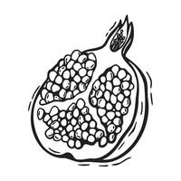 Half of a pomegranate fruit in a cut. linear black and white hand drawn illustration in linocut style on isolated background. Drawing for design of food and drink packaging, menus, posters vector