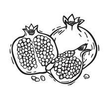 composition of a whole pomegranate and its halves. Botanical black and white illustration, hand drawn in linocut style. Drawing for food and cosmetics packaging design, menus, recipes,postcards vector