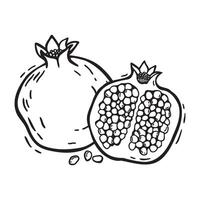 A whole pomegranate fruit and half with pulp. botanical black and white hand drawn illustration in linocut style on isolated background. Drawing for food and cosmetics packaging design, menu vector