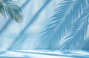 Palm Tree Casting Shadow on Wall photo