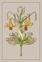 hand draw vintage style Art Nouveau botanical twine floral decorative border vector