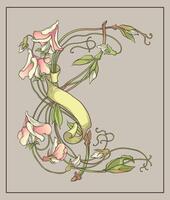 hand draw vintage style Art Nouveau botanical twine floral and ribbon decorative frame vector