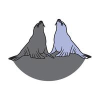 simple design sea lion vector